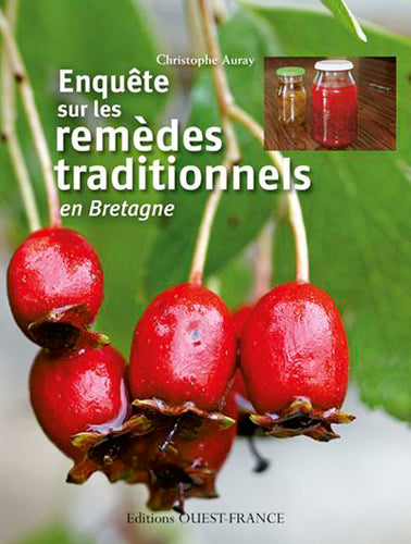 Enquête sur les remèdes traditionnels en Bretagne book