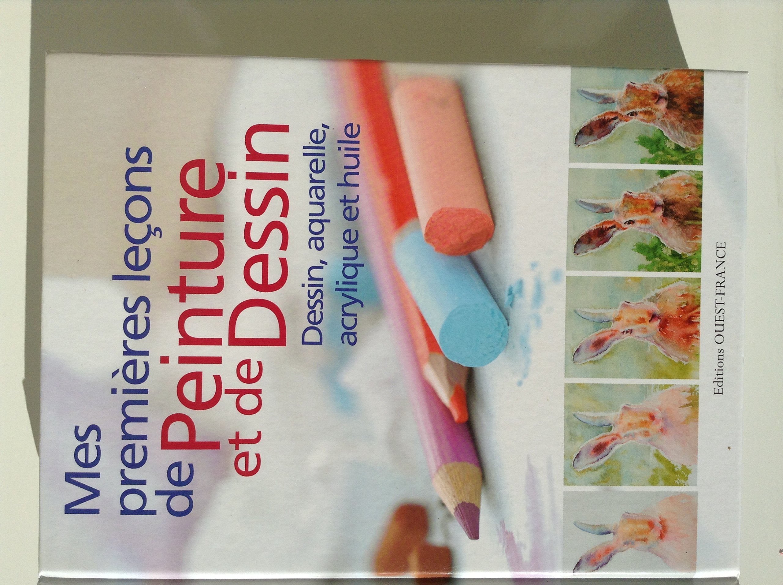 Mes premières leçons de peinture et de dessin Professional & Reference Books
