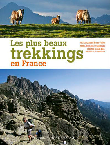 Les plus beaux trekkings en France book