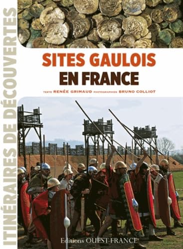 Sites gaulois en France book