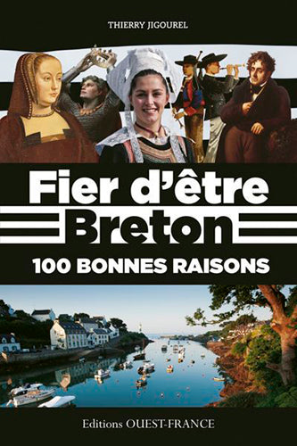Fier d'être breton : 100 bonnes raisons book