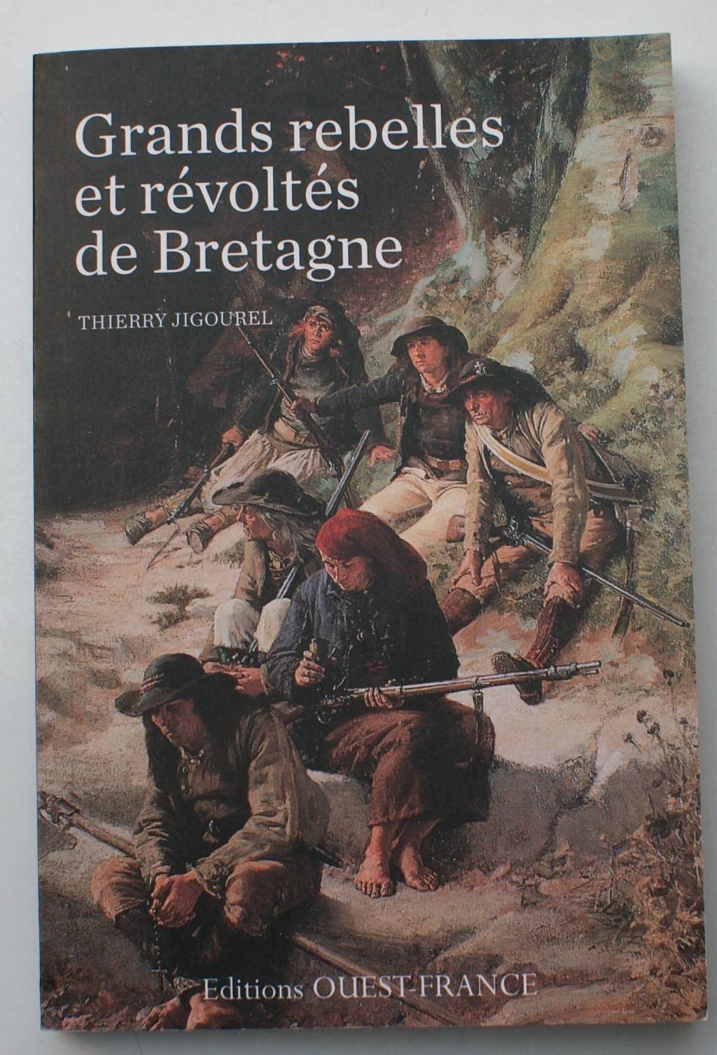 Grands rebelles et révoltés de Bretagne book