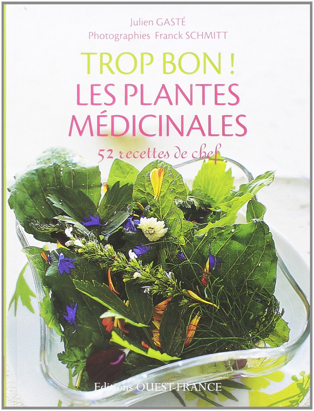 Trop bon ! Les plantes médicinales book