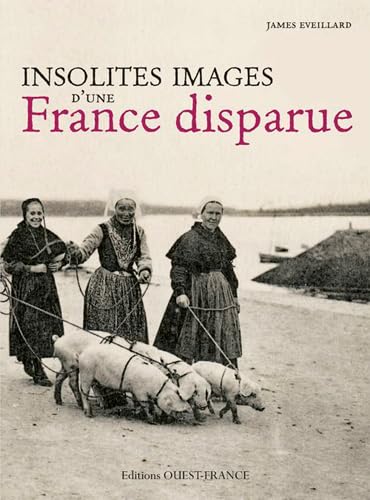 Insolites images d'une France disparue book