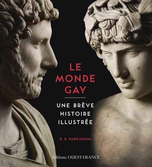 Le Monde Gay : Une brève histoire illustrée book