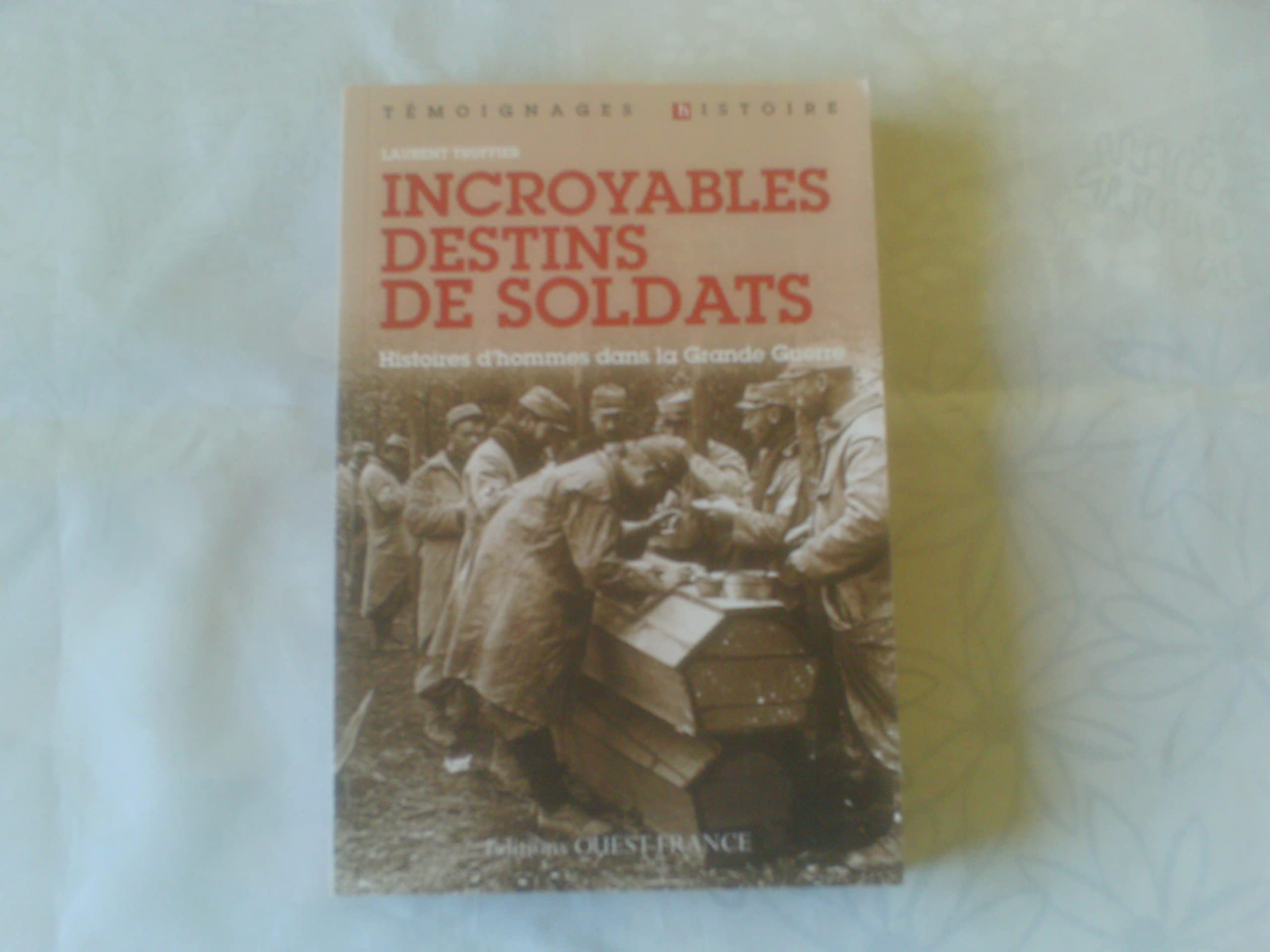 Incroyables destins de soldats: Histoires d'hommes dans la Grande Guerre Politics & History