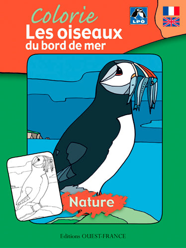 Colorie les oiseaux du bord de mer Tiptoi & Games