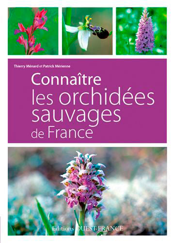 Connaître les orchidées sauvages de France : 95 espèces d'orchidées sauvages de France Leisure, Home & Garden