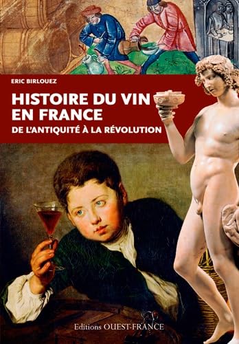 Histoire du vin en France book