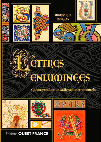 Lettres enluminées : carnet pratique de calligraphie ornementale Hobbies & Crafts