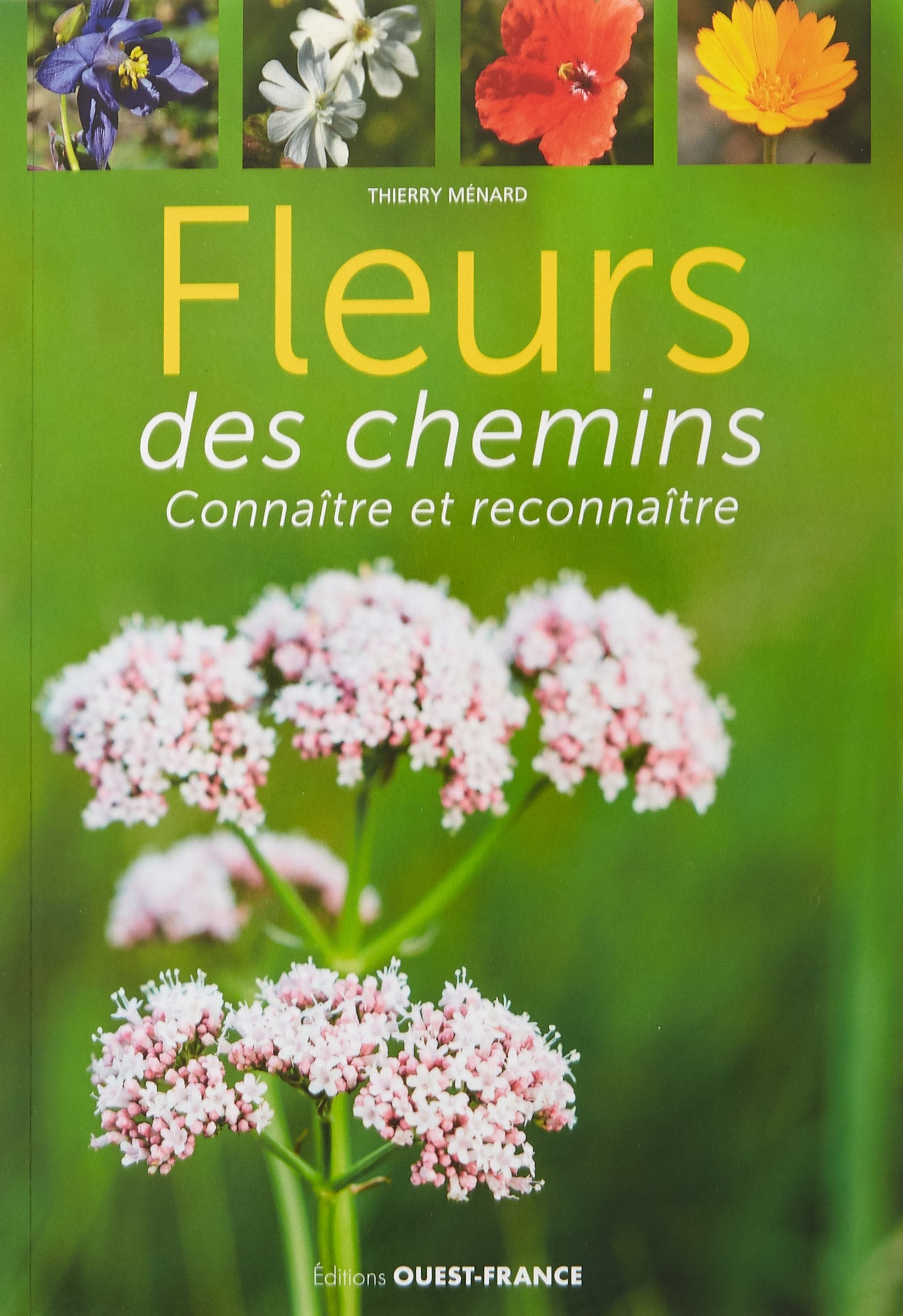 Fleurs des chemins: Connaître et reconnaître Leisure, Home & Garden