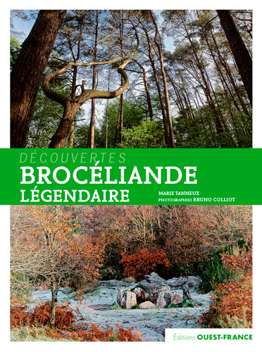 Brocéliande légendaire Leisure, Home & Garden