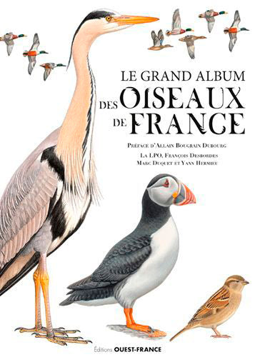 Le grand album des oiseaux de France Film, Art & Culture