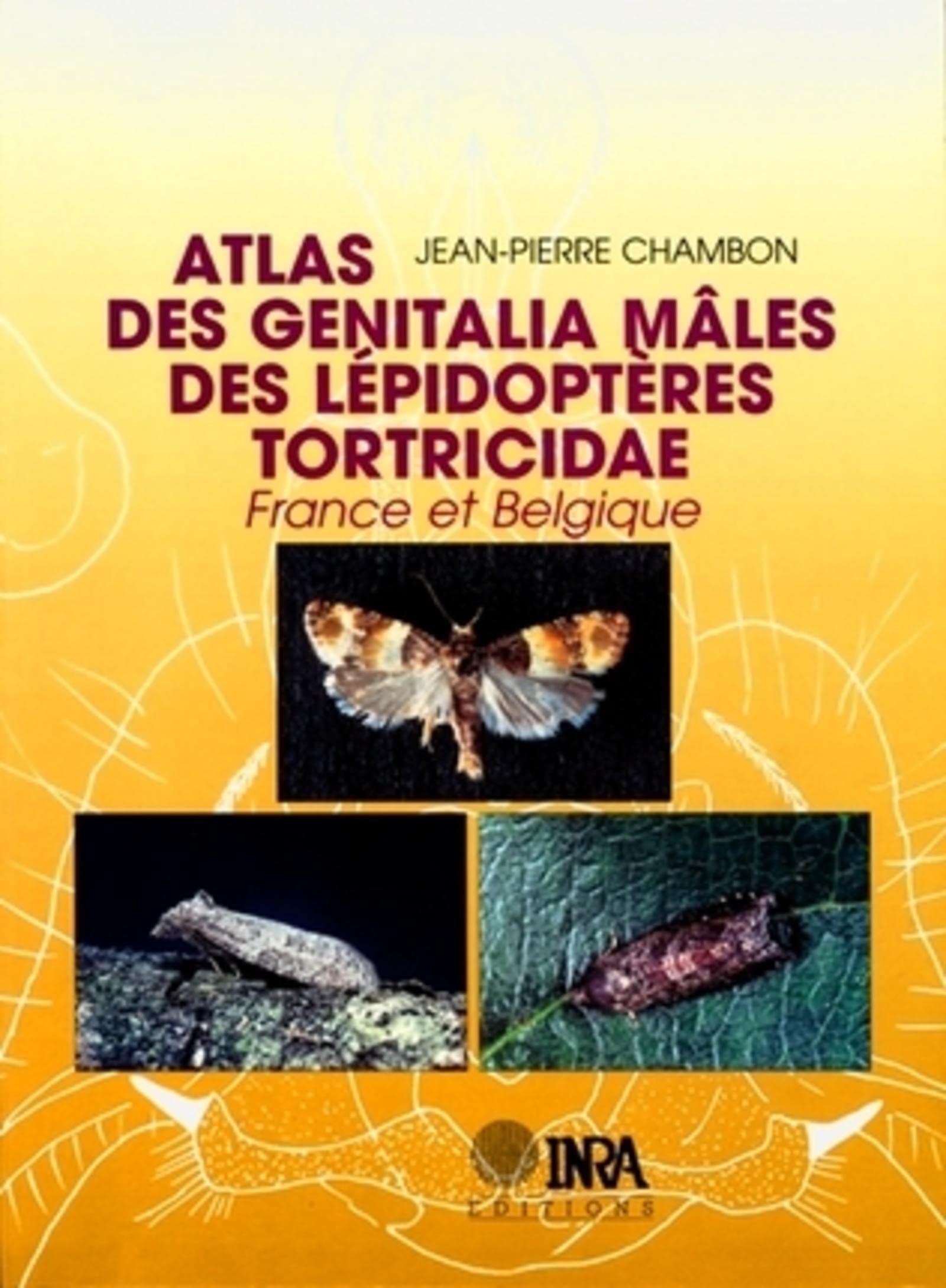 Atlas des génitalia mâles de lépidoptères tortricidae de France et Belgique book