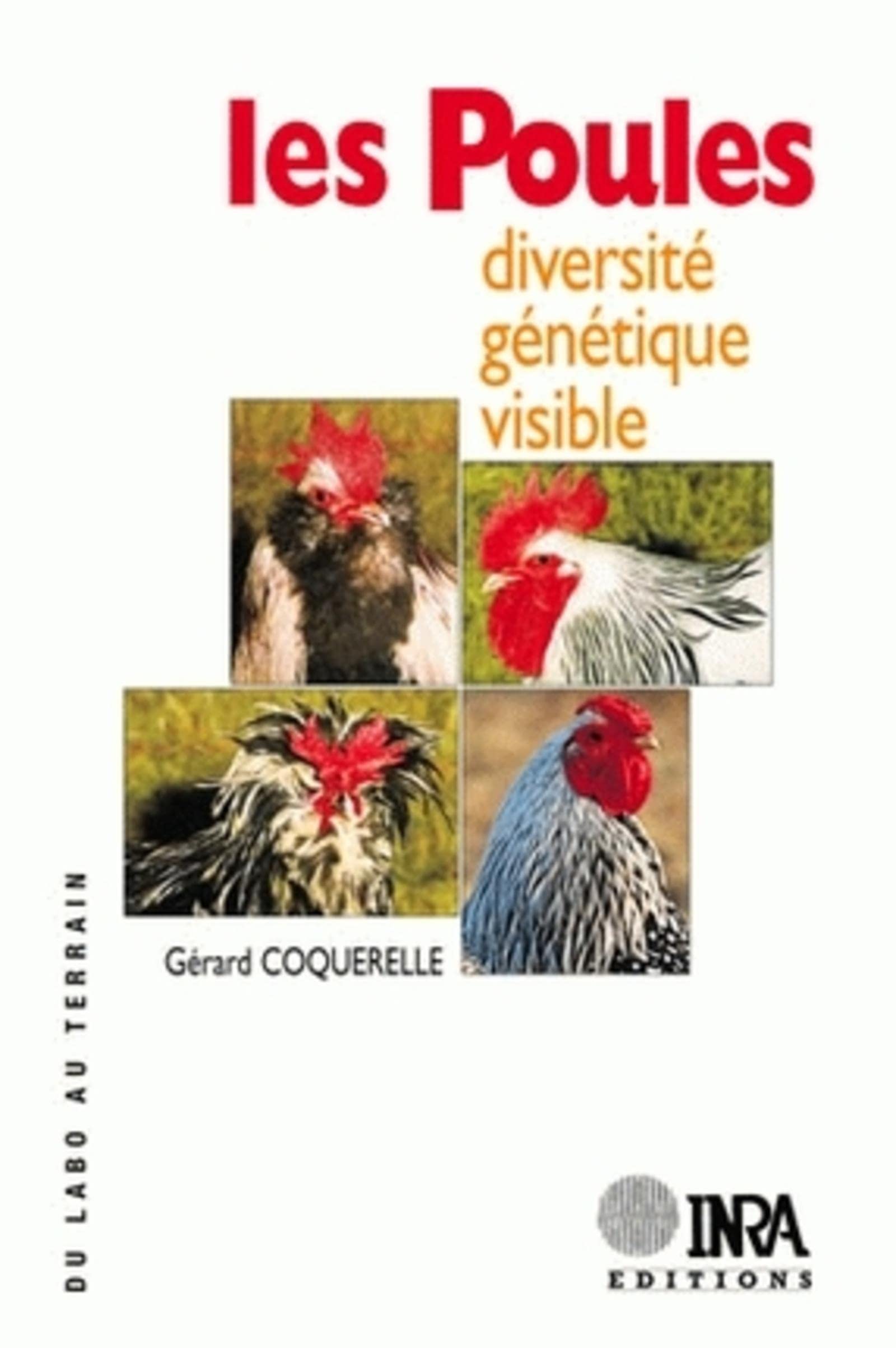 Les poules: Diversité génétique visible Books