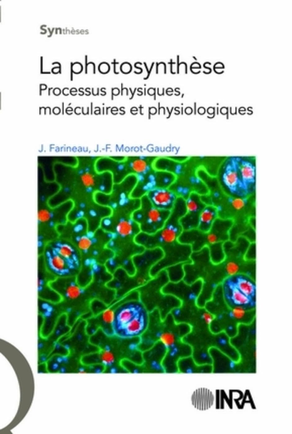 La photosynthèse: Processus physiques, moléculaires et physiologiques Natural Sciences