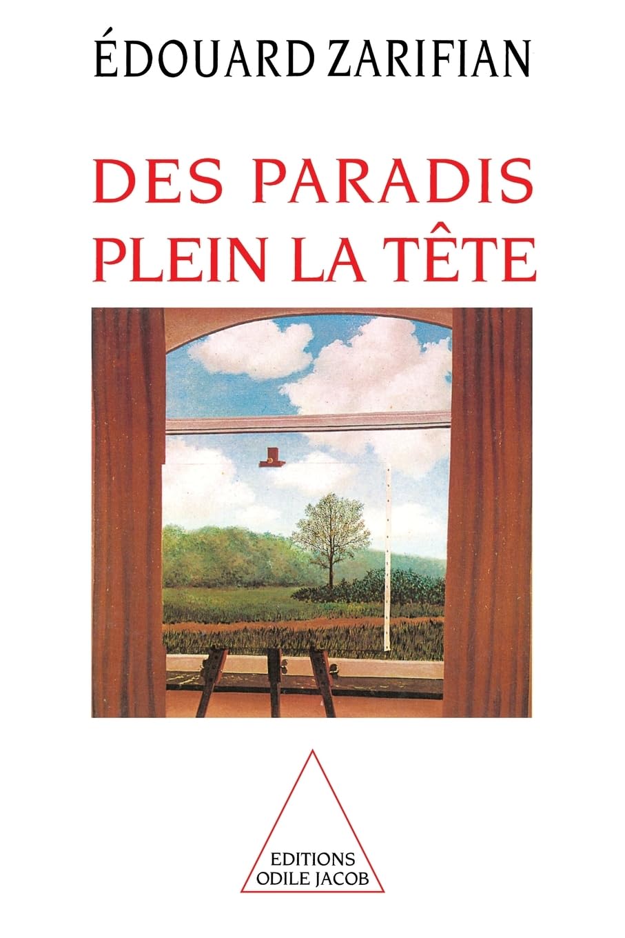 Des paradis plein la tête book
