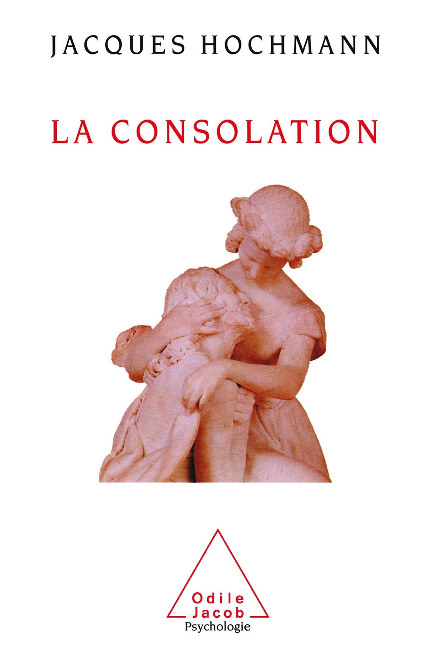 La Consolation: Essai sur le soin psychique book