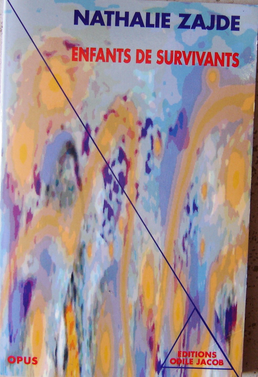 Enfants de survivants : la transmission du traumatisme chez les enfants des juifs rescapés de l'extermination nazie Books