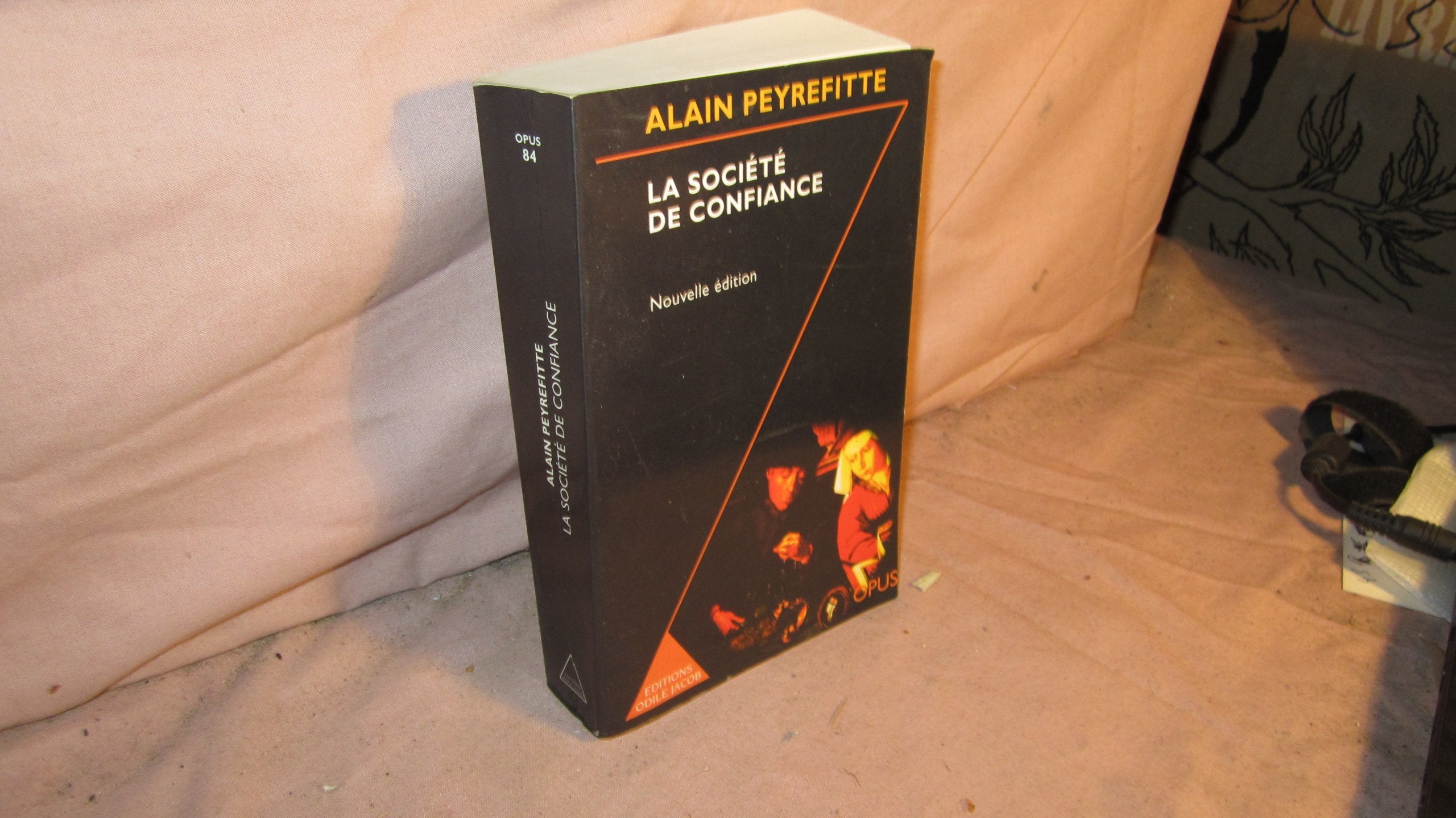 La société de confiance.: Essai sur les origines du développement book