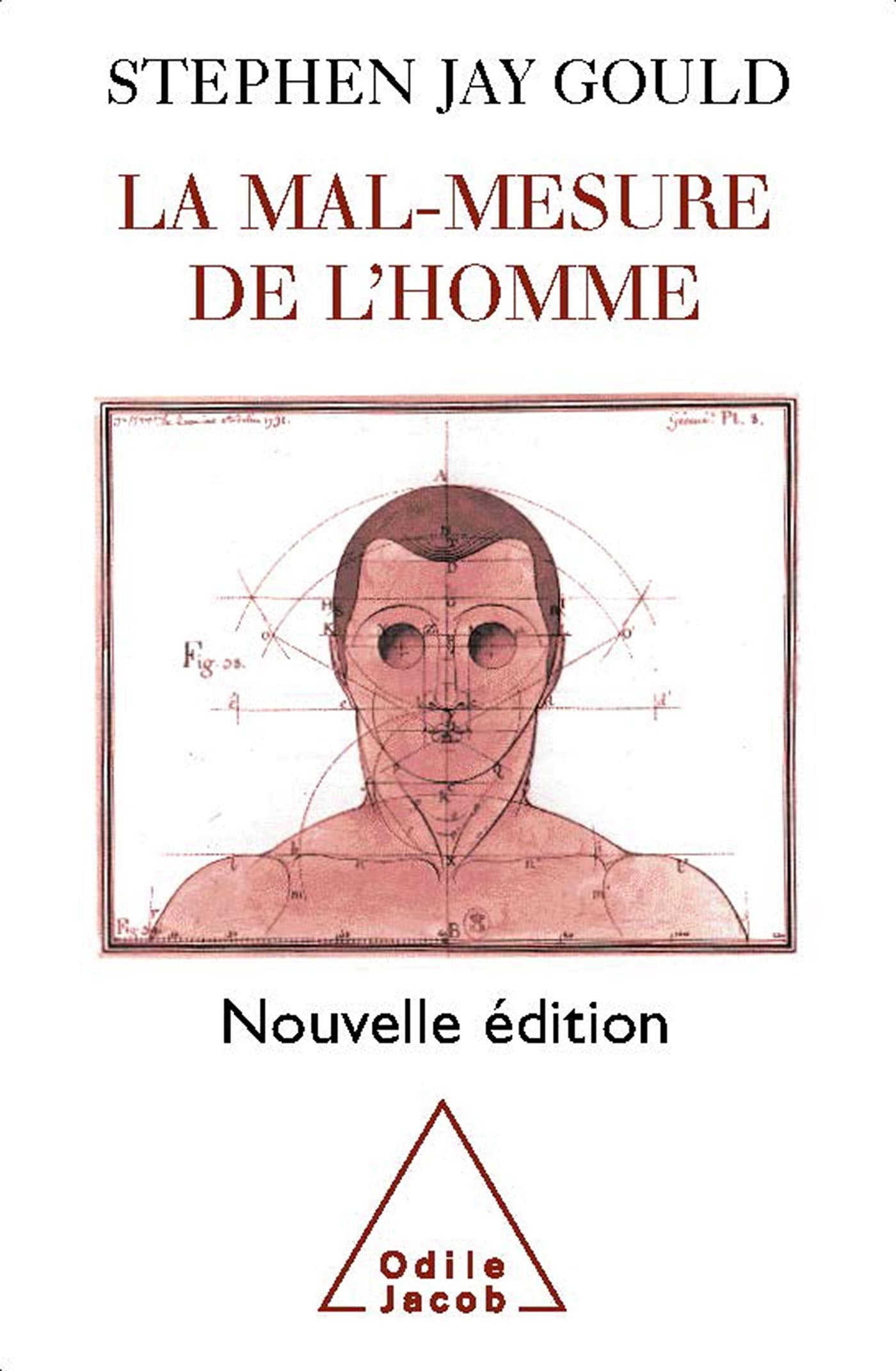 La Mal-mesure de l'homme book