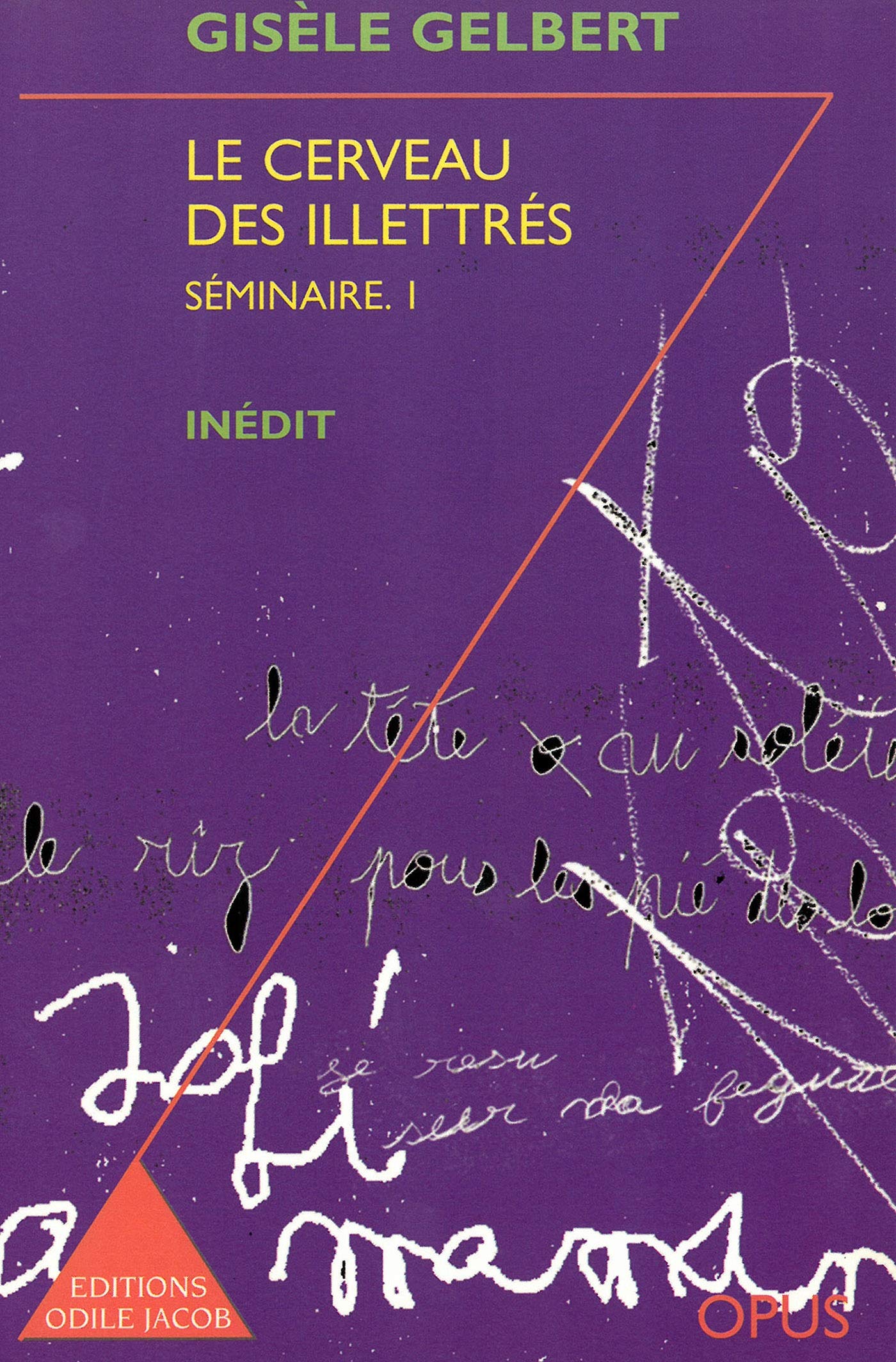 Le Cerveau des illettrés: Séminaire 1 book