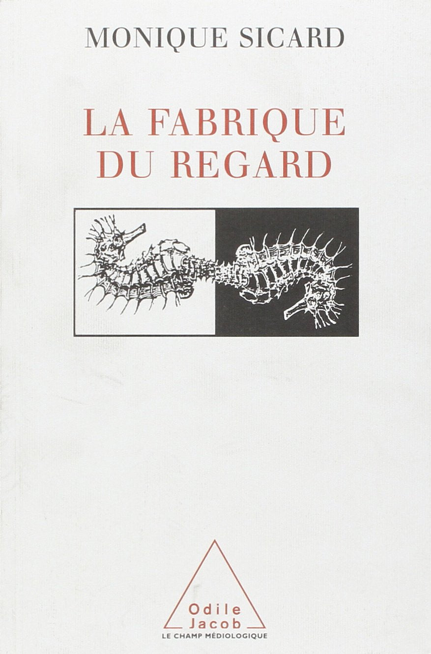 Making of the Image / La Fabrique du regard Film, Art & Culture