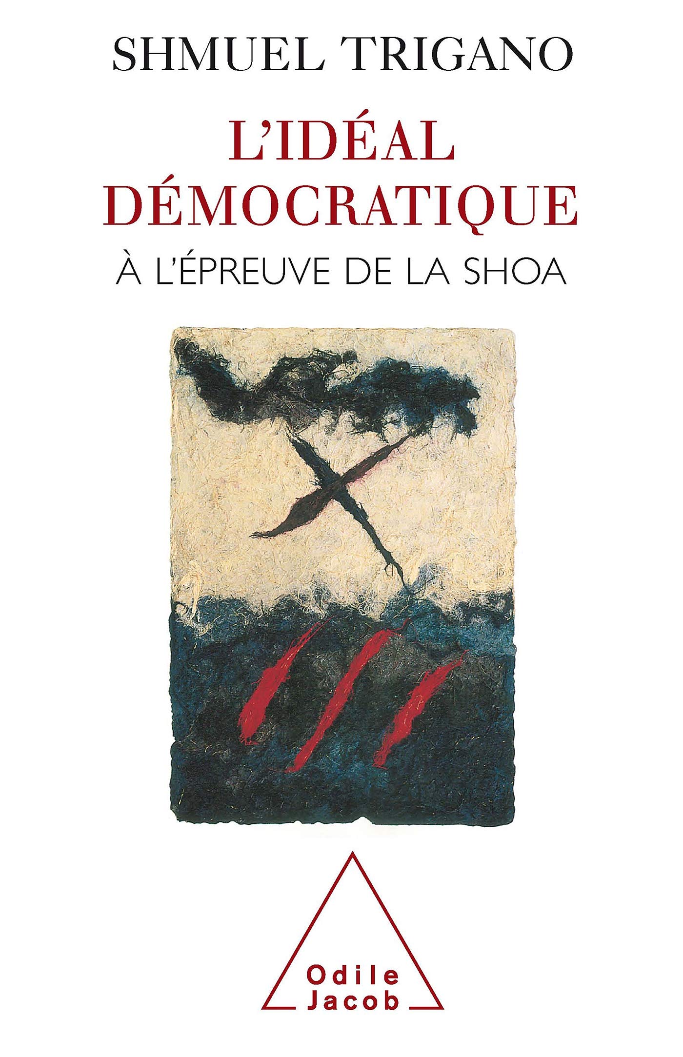 L'Idéal démocratique à l'épreuve de la shoa book