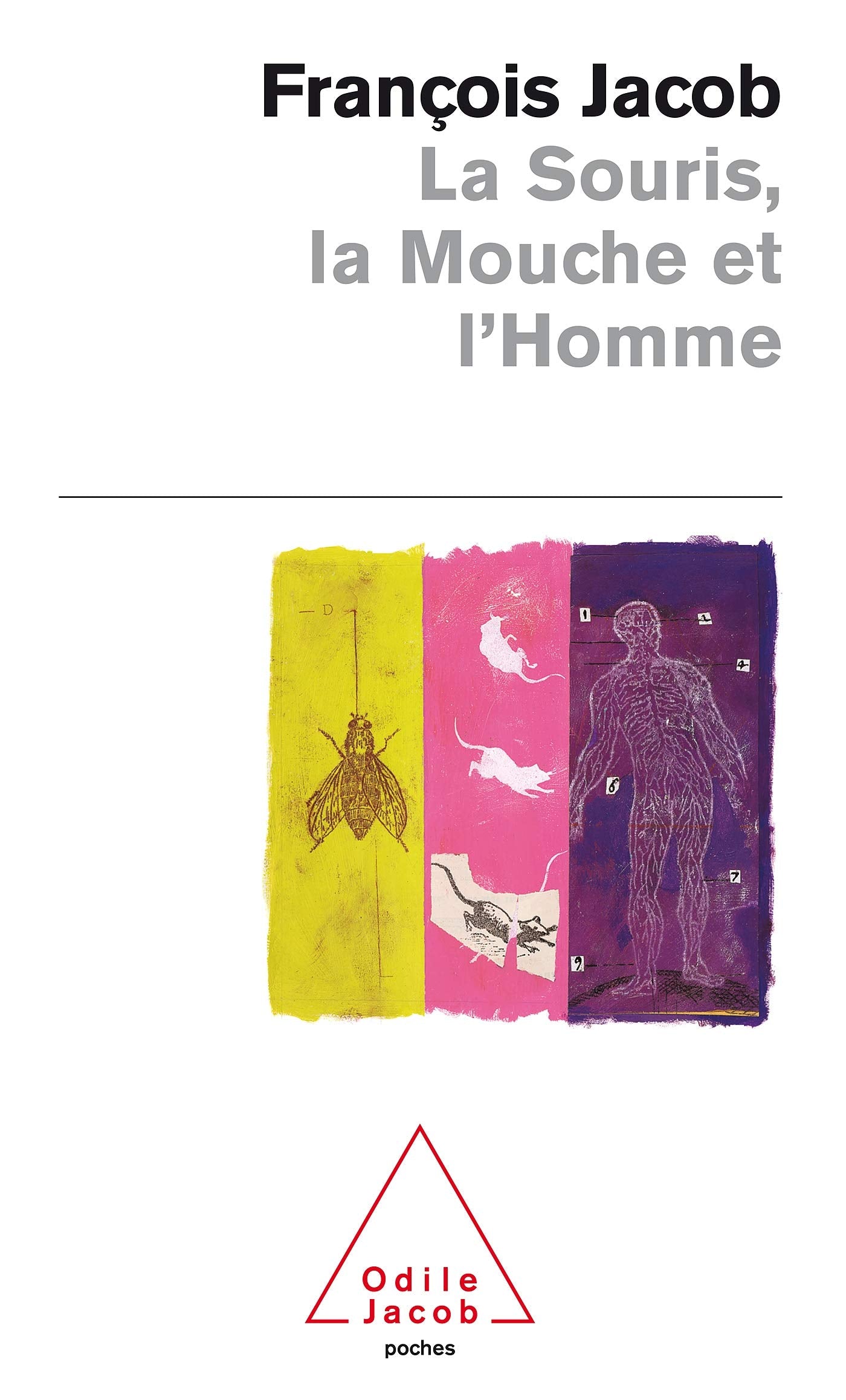 La Souris, la mouche et l'homme book