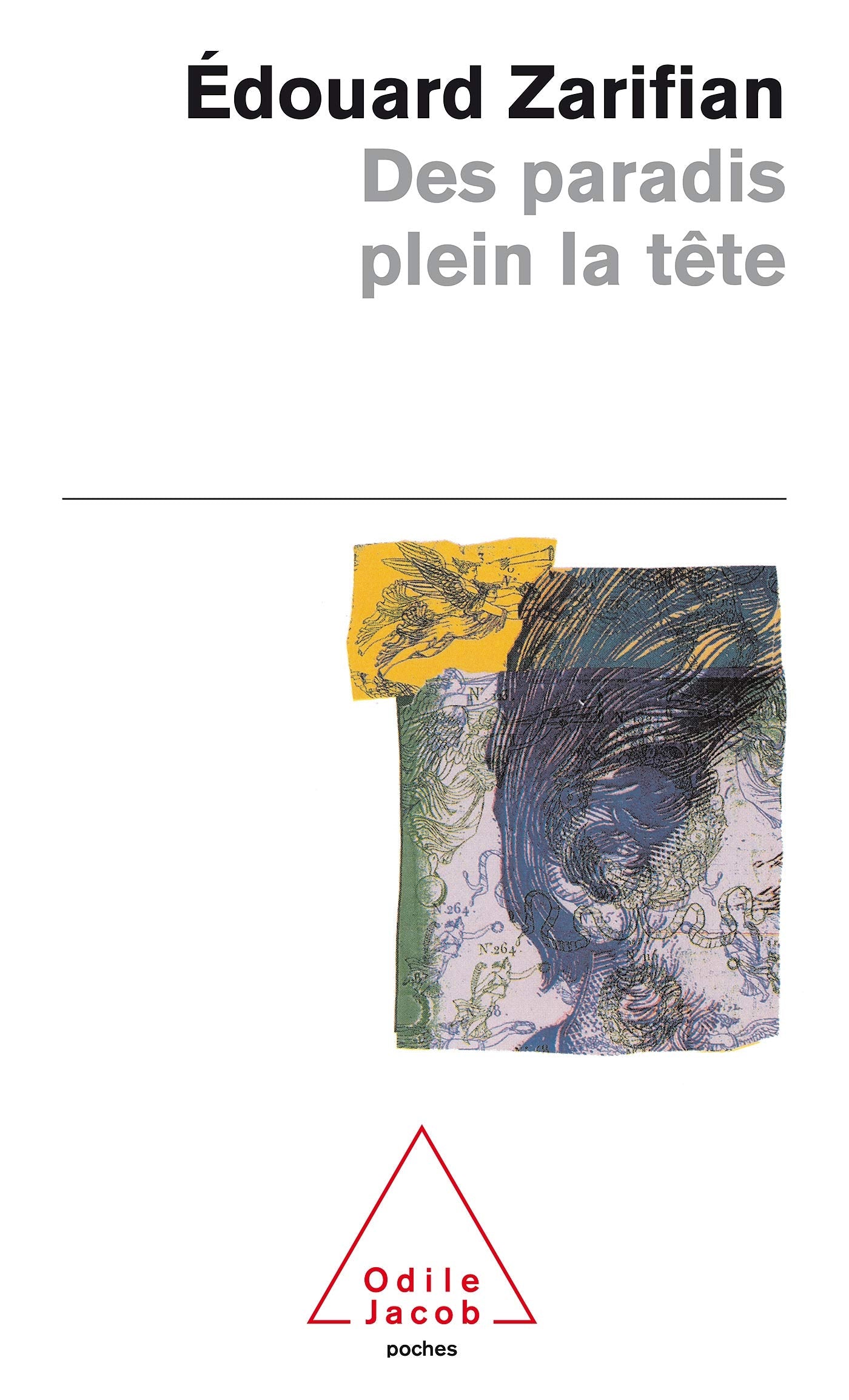 Des paradis plein la tête book