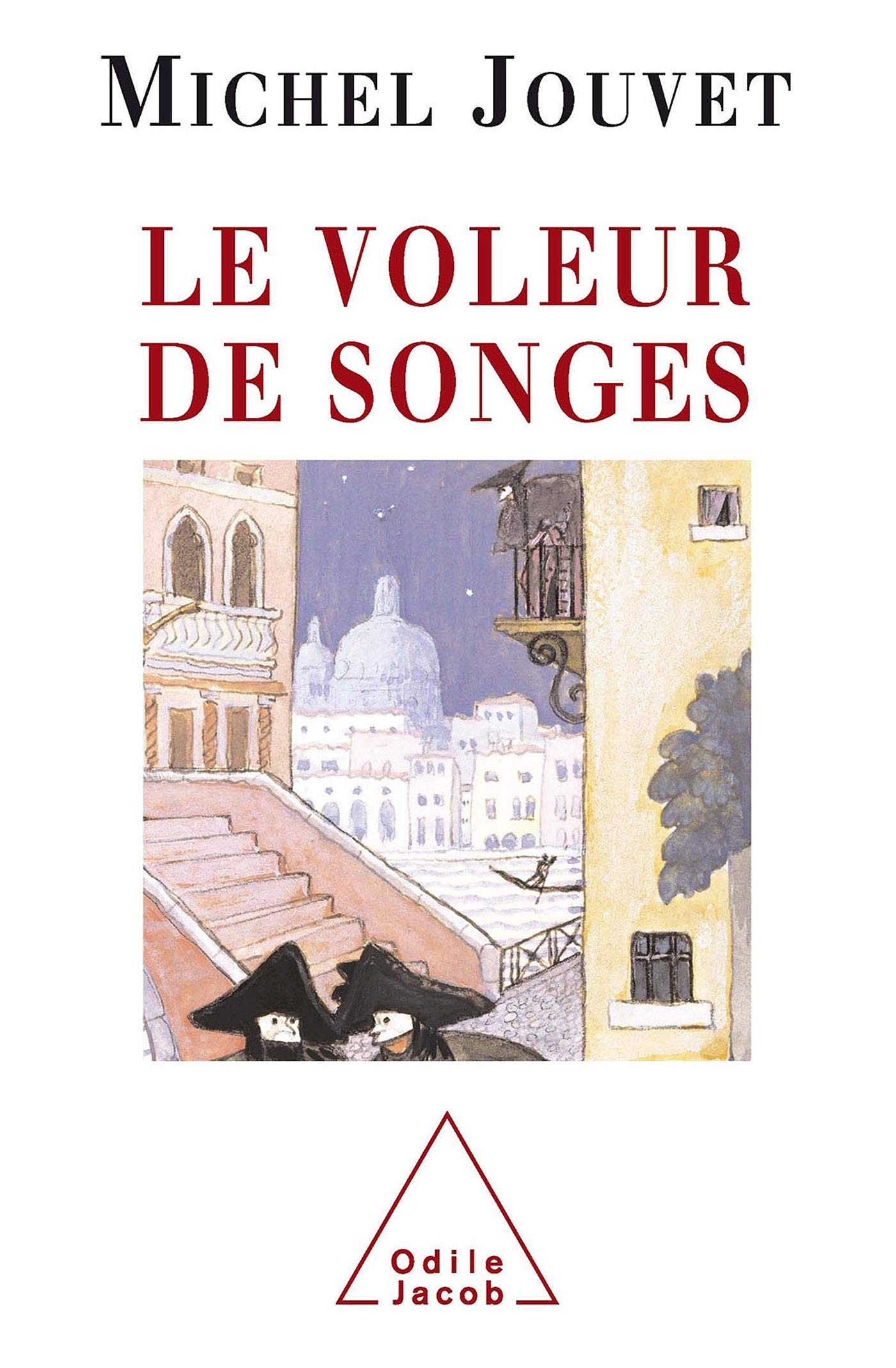Le voleur de songes book