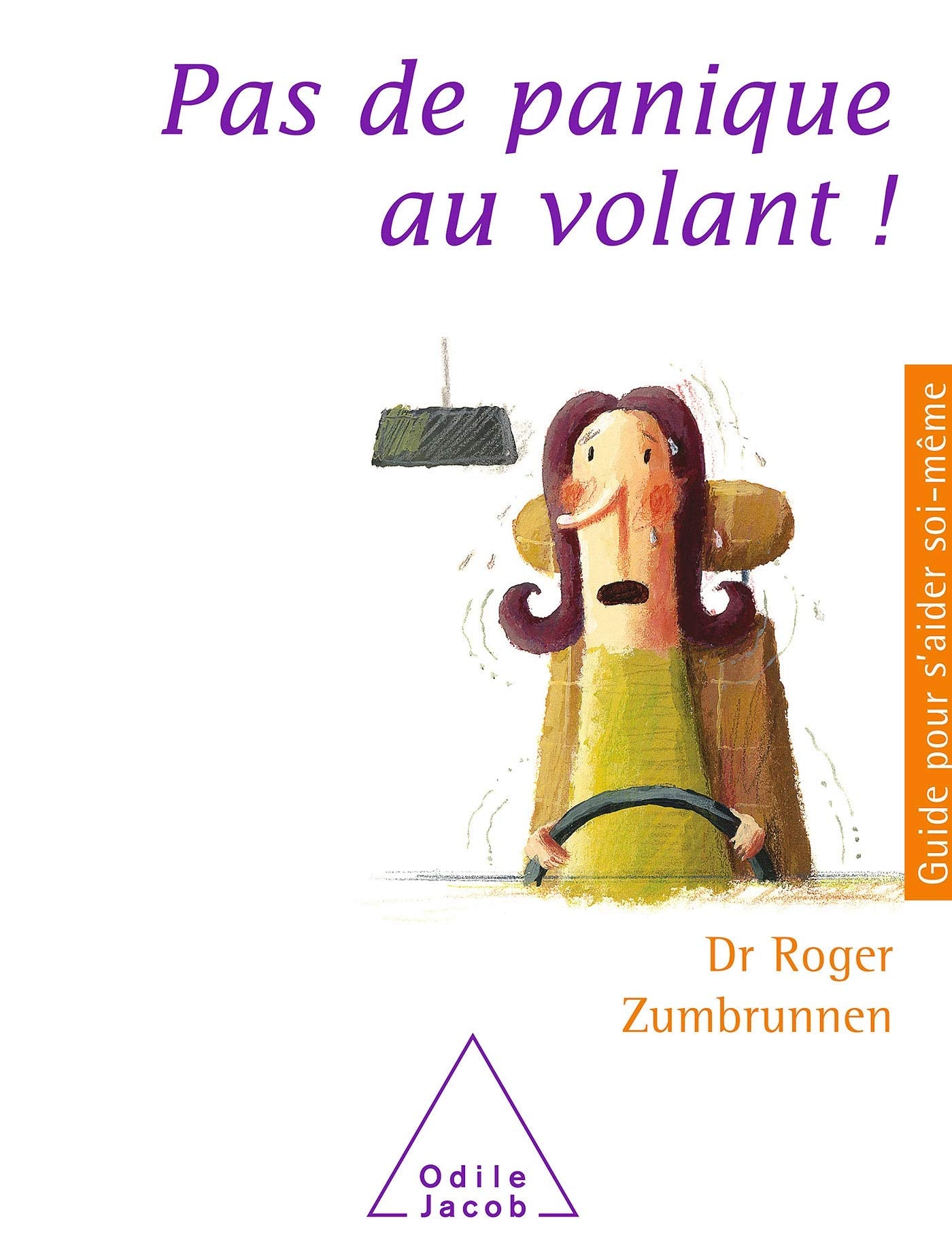 Pas de panique au volant ! book