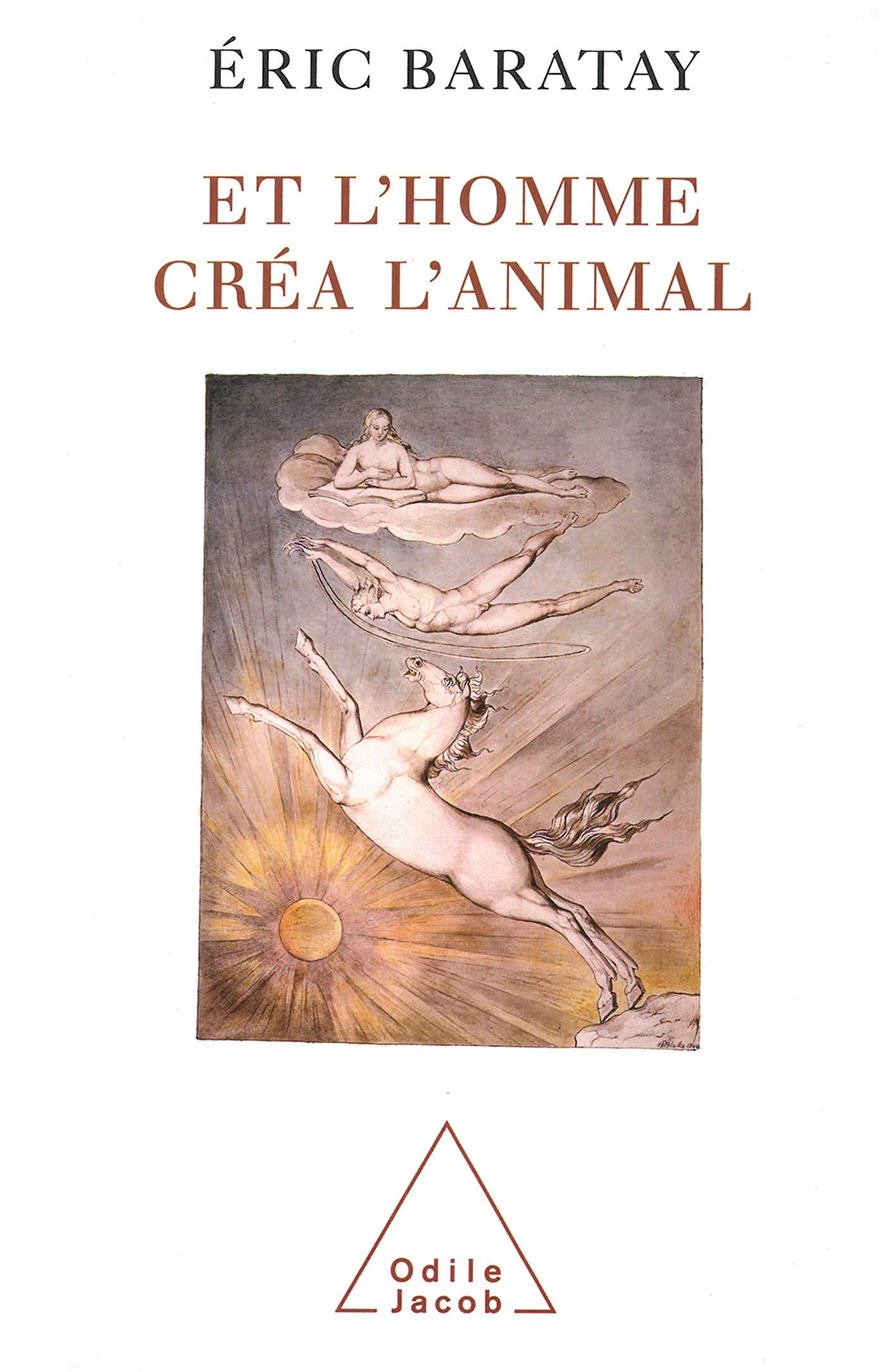 Et l'homme créa l'animal : Histoire d'une condition book
