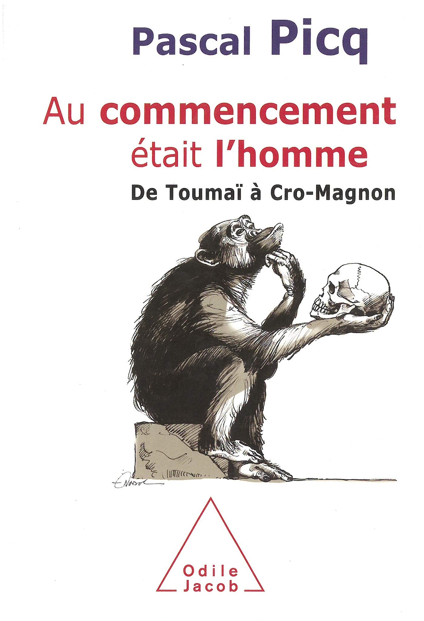 Au commencement était l'homme: De Toumaï à Cro-Magnon book