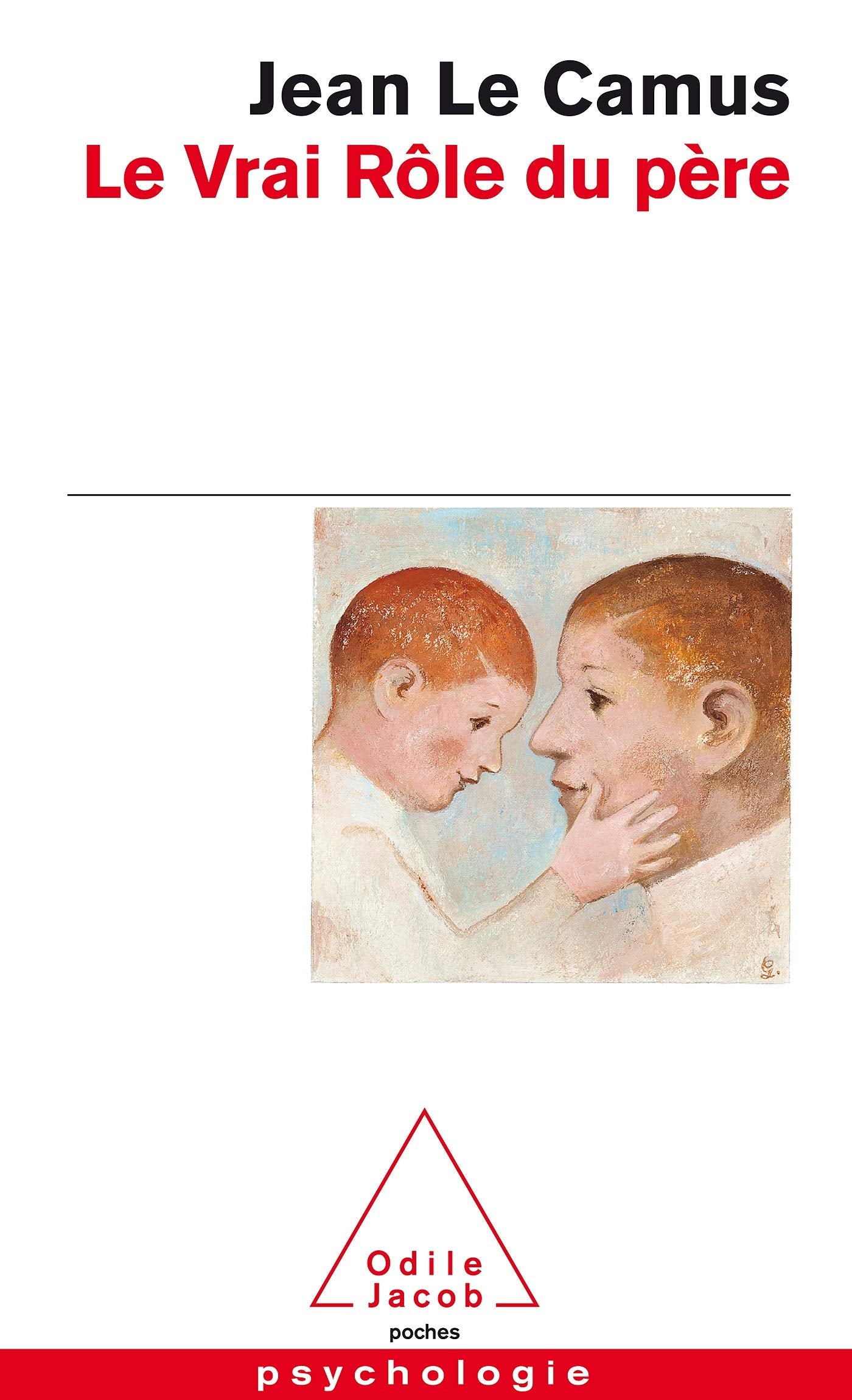 Le Vrai Rôle du père book