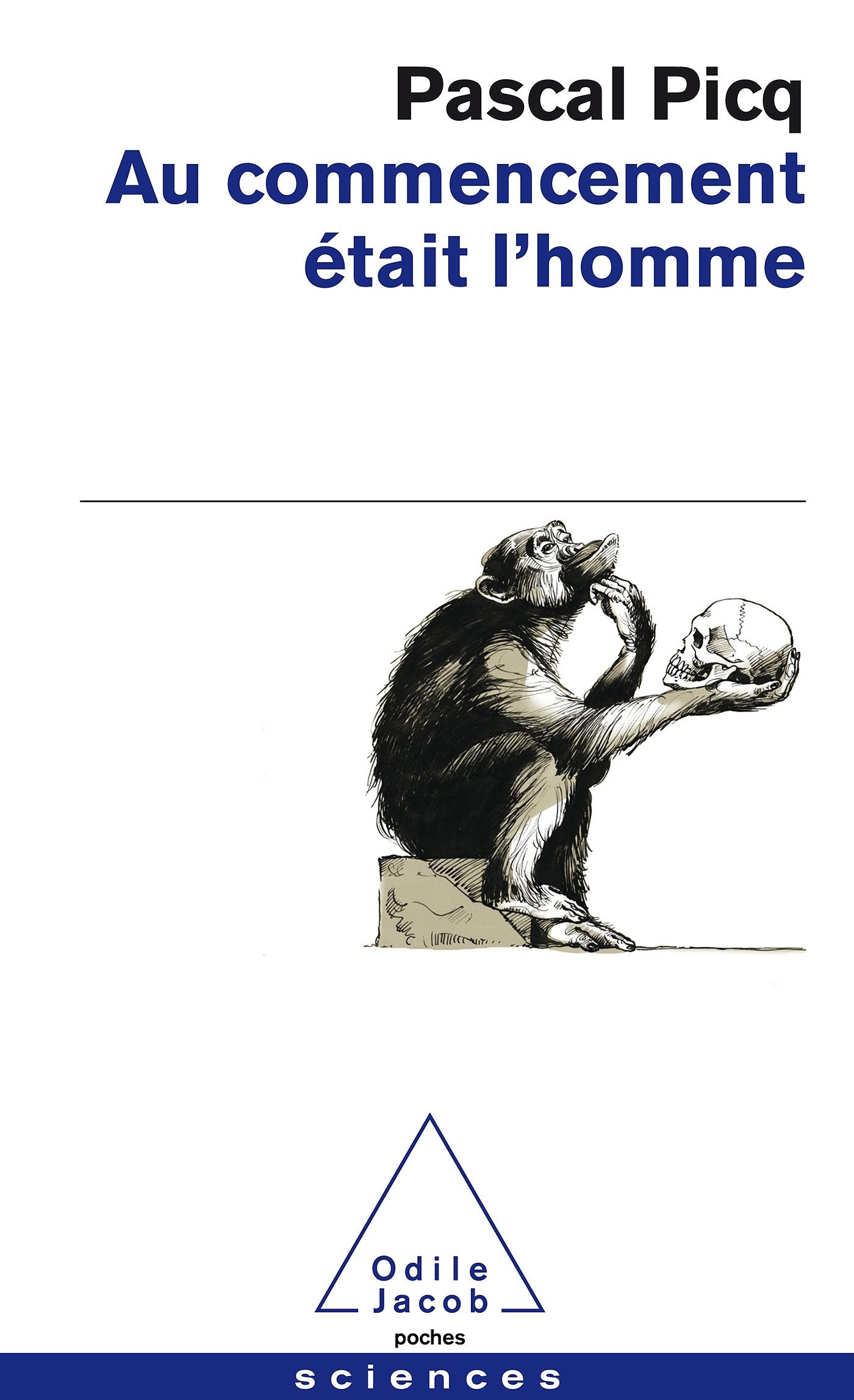 Au Commencement Etait L'Homme: De Toumaï à Cro-Magnon Business & Technology