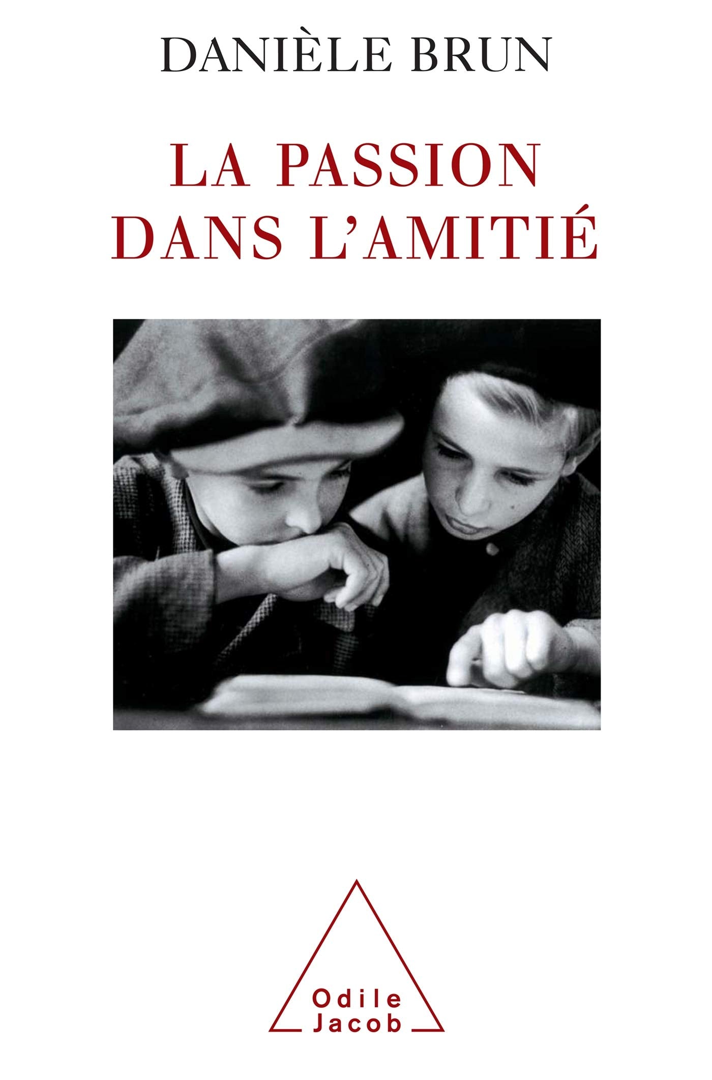 Passion in Friendship / La Passion dans l'amitié Psychology