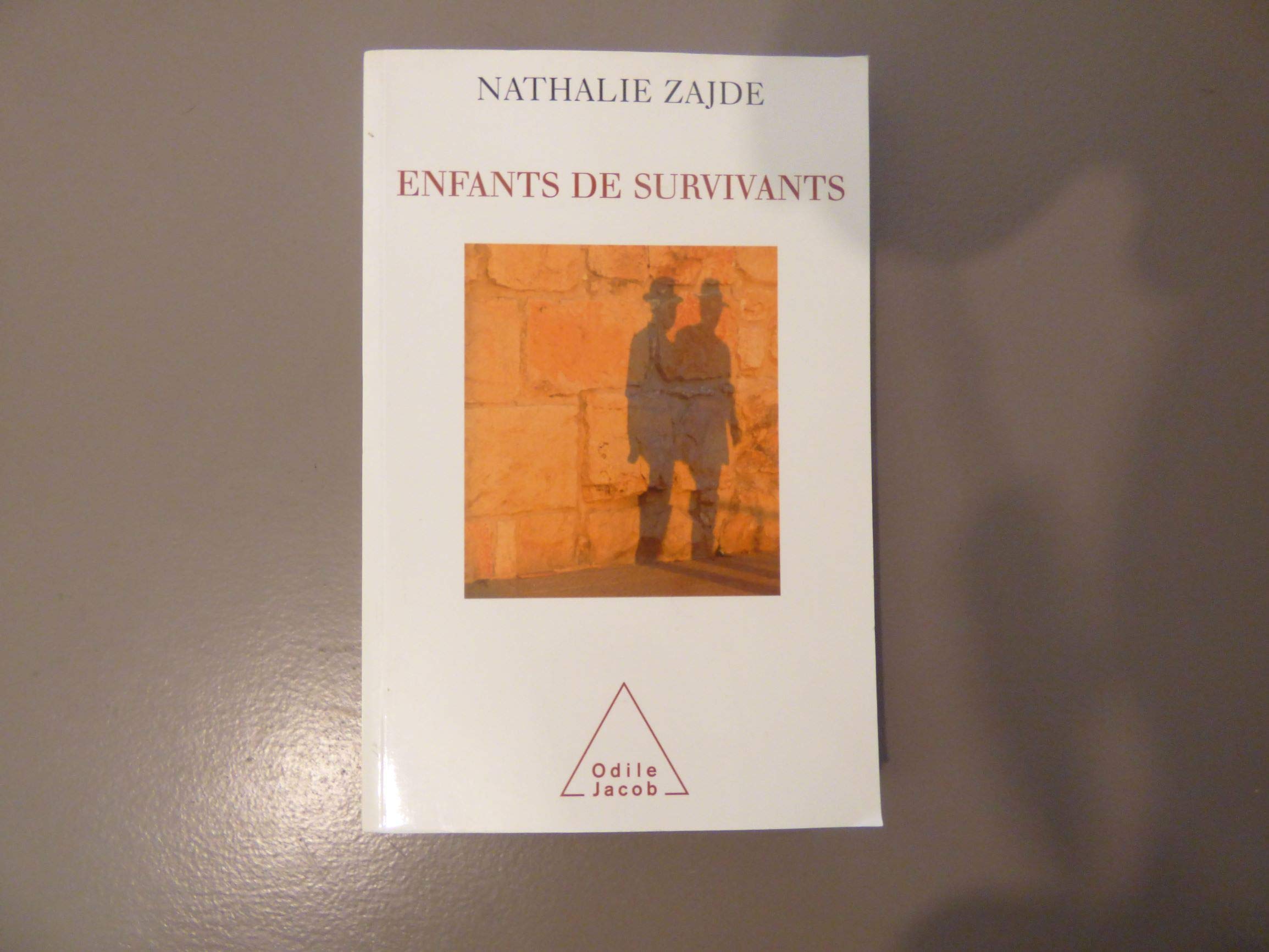 Enfants de survivants: La transmission du traumatisme chez les enfants des juifs book