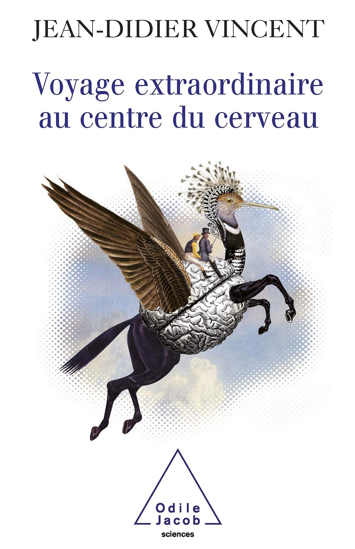 Voyage extraordinaire au centre du cerveau Medicine