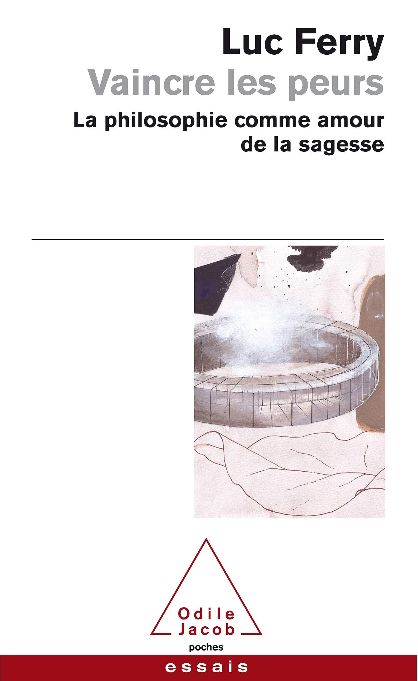 Vaincre Les Peurs - LA Philosophie Comme Amour De LA Sagesse Philosophy