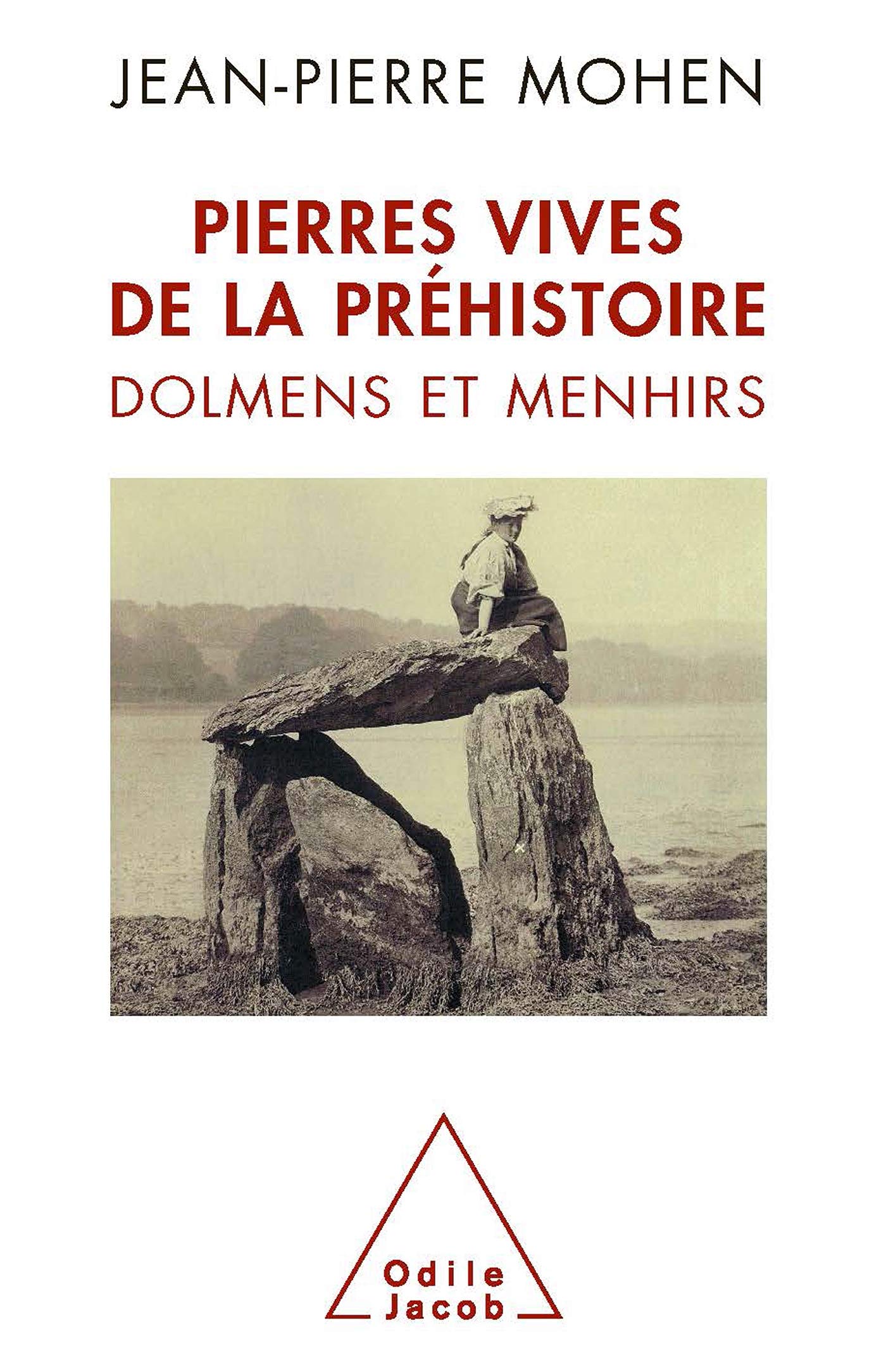 Pierres vives de la préhistoire: Dolmens et menhirs Politics & History