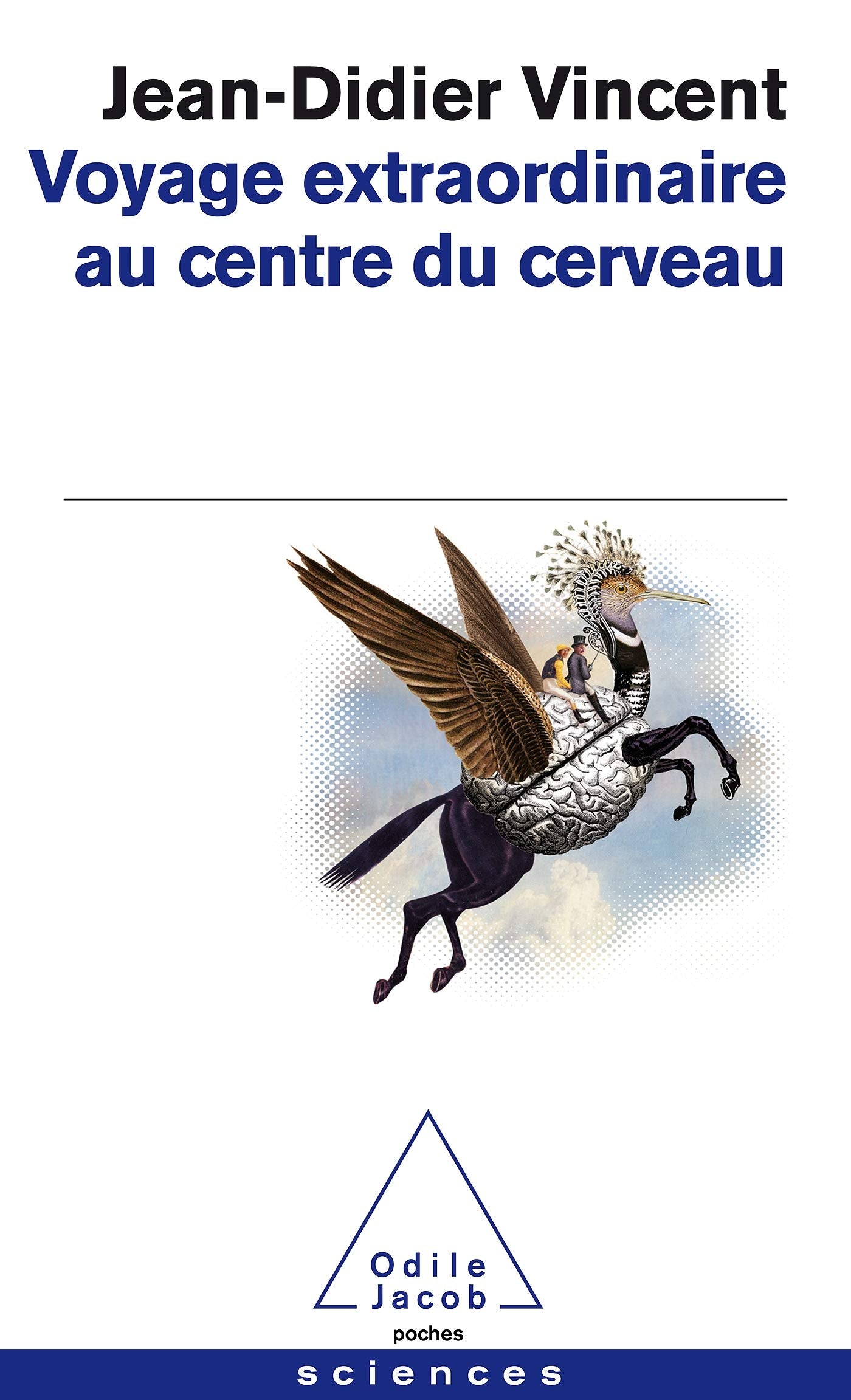 Voyage extraordinaire au centre du cerveau book