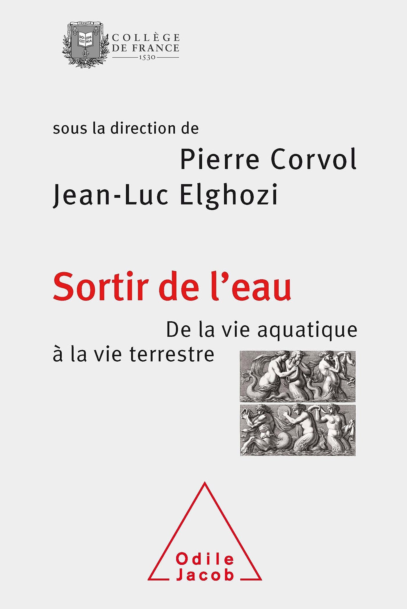 Sortir de l'eau: De la vie aquatique à la vie terrestre Natural Sciences