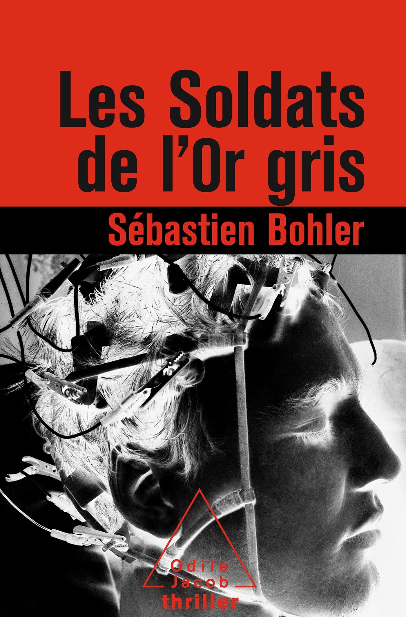 Les Soldats de l'or gris Contemporary literature
