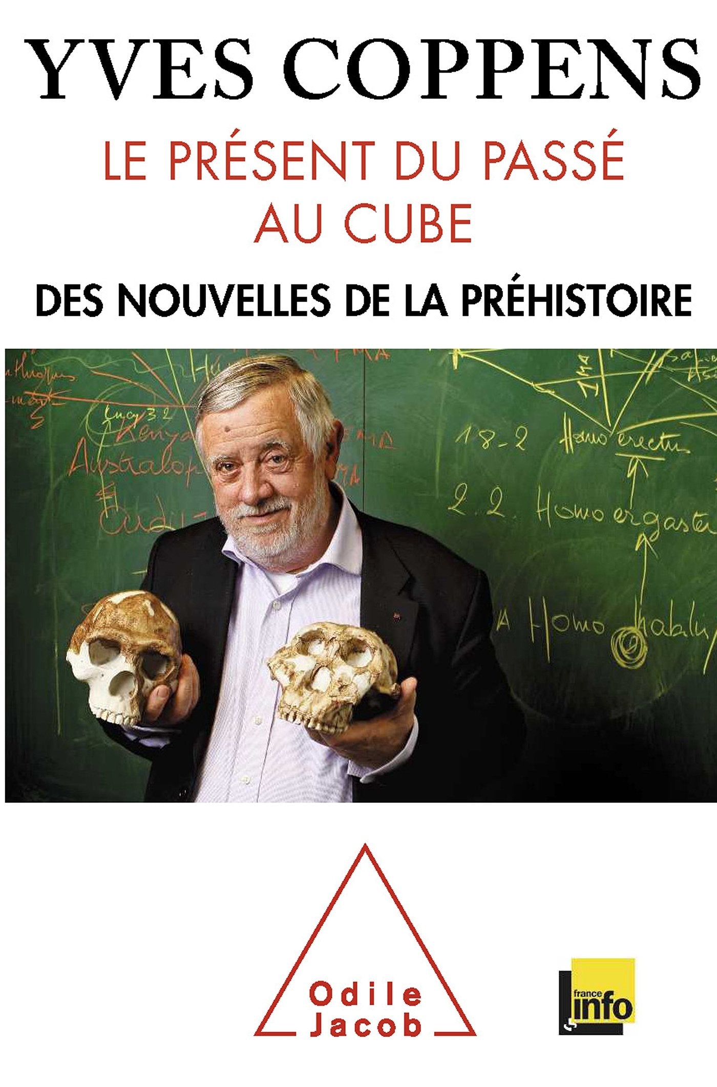 Le Présent du passé au cube: Des nouvelles de la préhistoire book