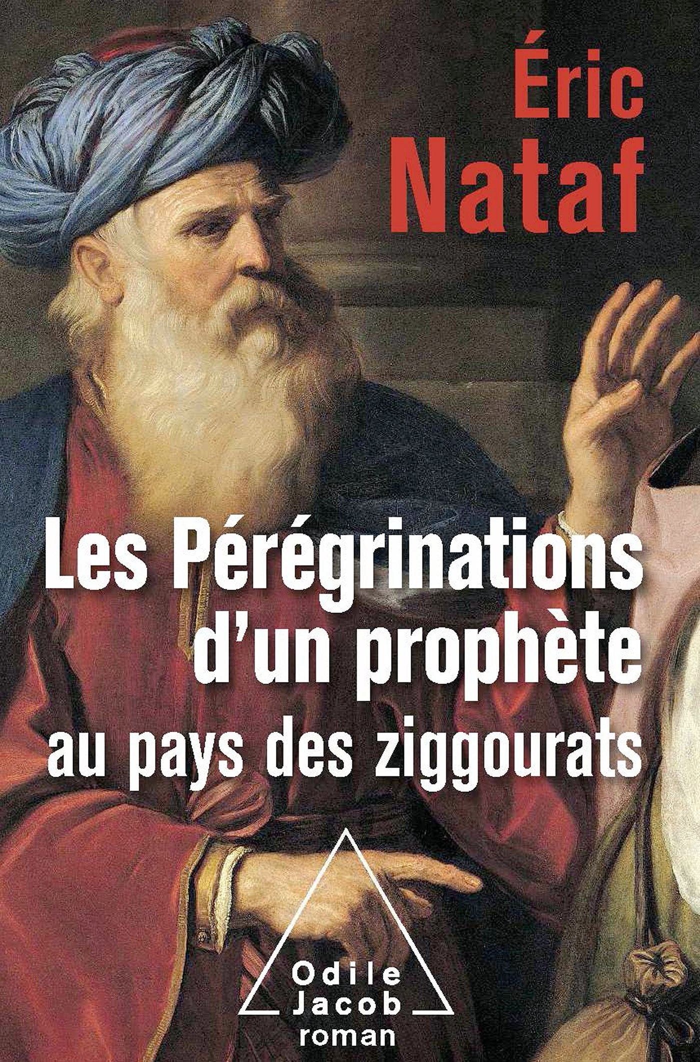 Les Pérégrinations d'un prophète au pays des ziggourats book