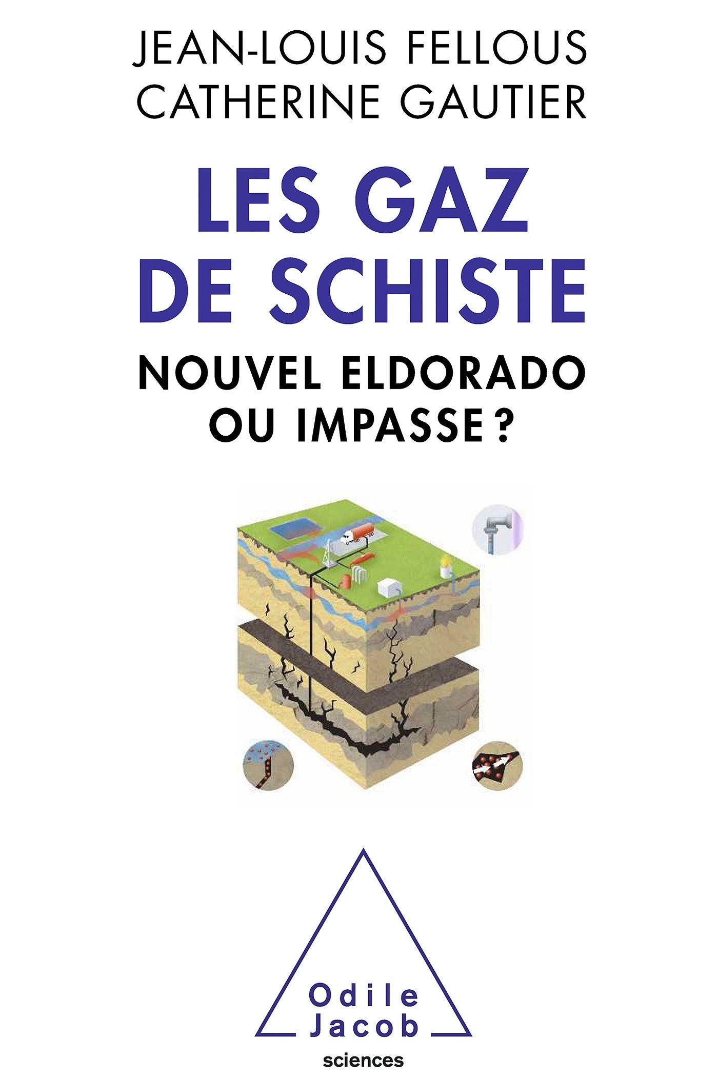 Les Gaz de schiste: Nouvel eldorado ou impasse ? book