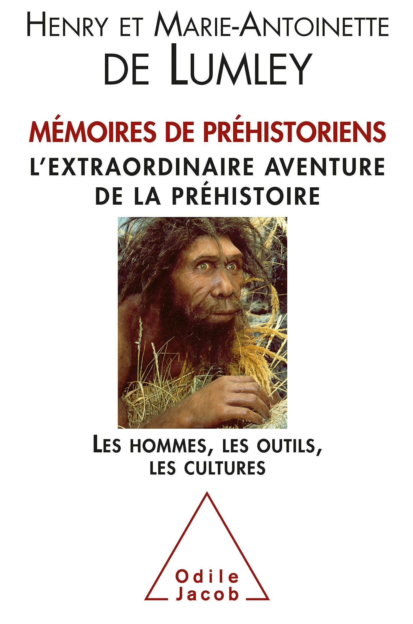 Mémoires de préhistoriens: L'extraordinaire aventure de la préhistoire. Les hommes, les outils, les cultures. Politics & History