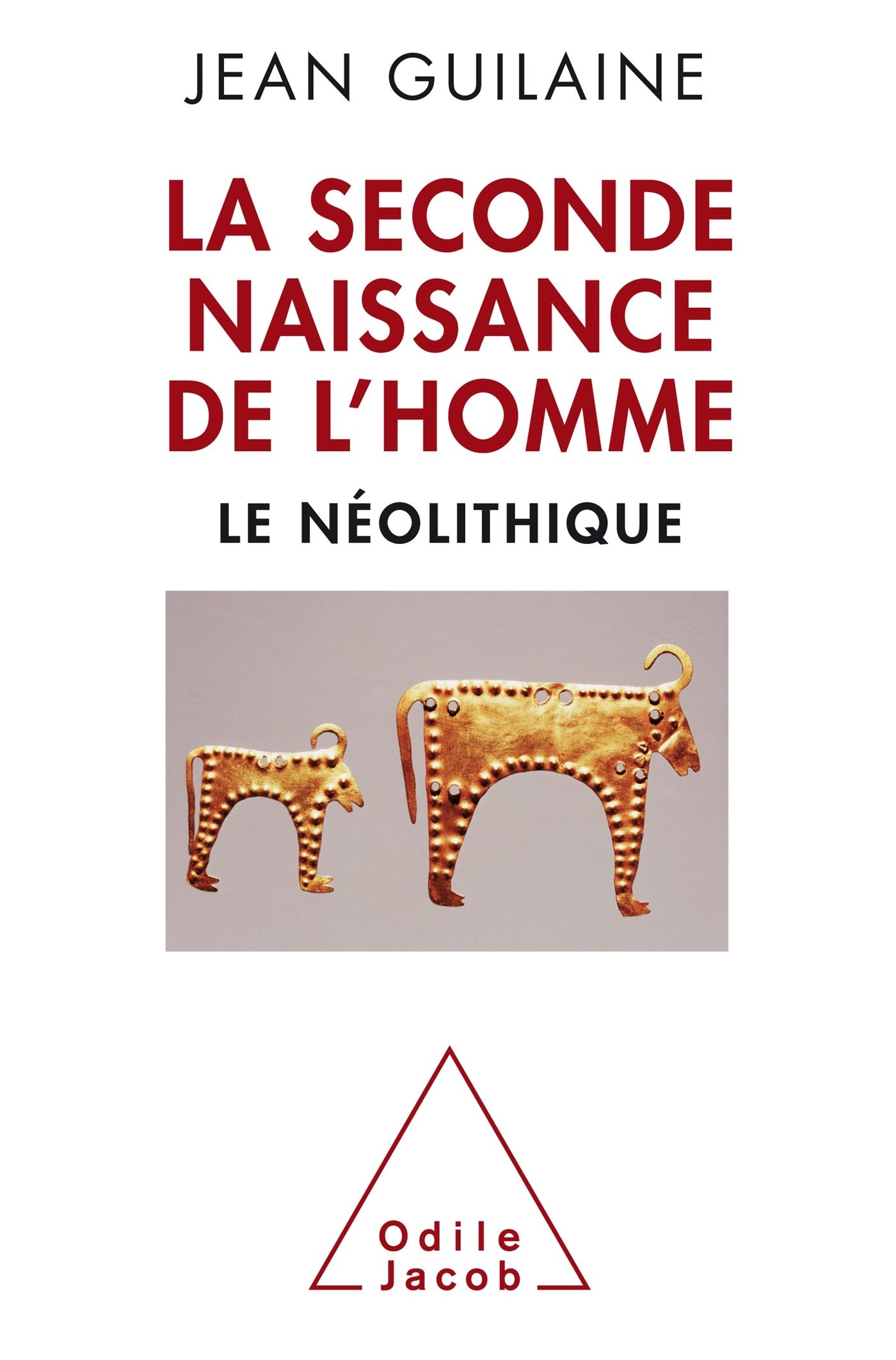 La Seconde naissance de l'homme: Le Néolithique book
