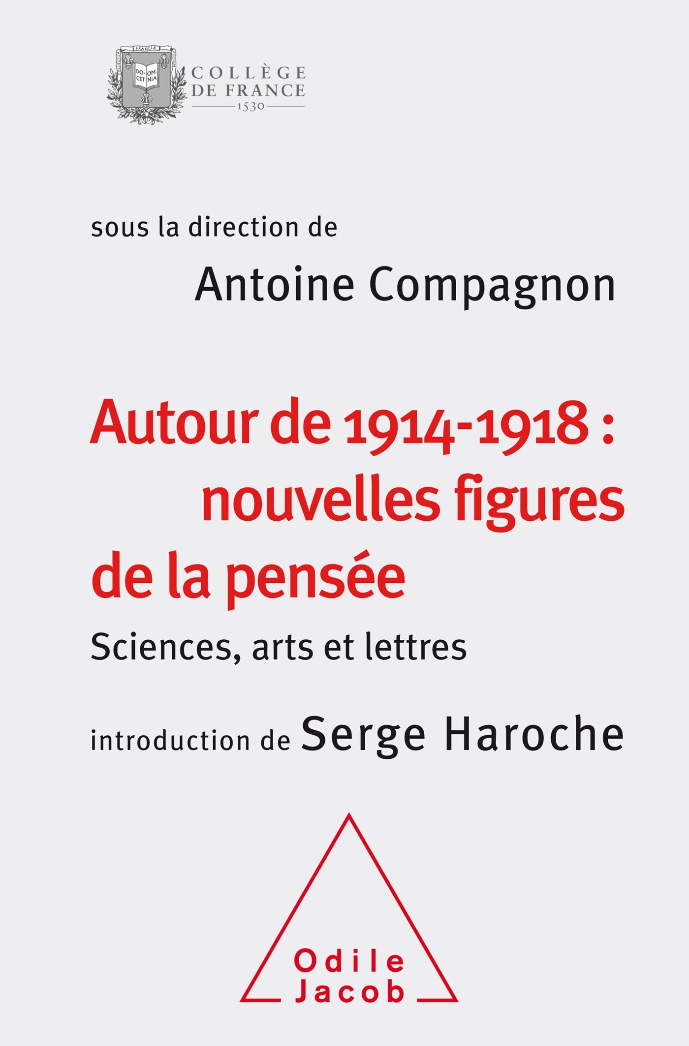 Autour de 1914-1918: nouvelles figures de la pensée: Sciences,arts et lettres(colloque 2014) book